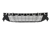 BLIC Lüftungsgitter, Stoßfänger 5510-00-6043995Q vorne für RENAULT 622540001R Image