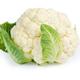 Winter Vegetable Plants - Cauliflower 'Maystar' - 12 x Plug Plant Pack - Grow Your Own!