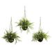 Nearly Natural Ruscus Sedum & Springeri Hanging Basket (Set of 3)