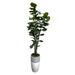 Handmade 7' Artificial Fig Tree Deluxe in Elegant Grey and White Fiberglass Planter - Cypress & Alabaster - Home Décor - Green