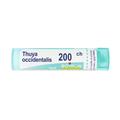 Boiron Thuya Occidentalis 200 Ch Granuli 4 g