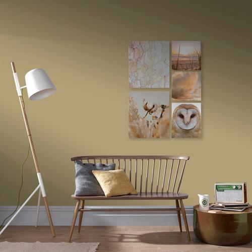 „Leinwandbild ART FOR THE HOME „“Set Natur““ Bilder Gr. B/H/T: 60 cm x 80 cm x 2,5 cm, Leinwandbild, 5 St., bunt (mehrfarbig) Leinwandbilder“
