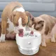 Fontaine à eau avec filtre automatique USB pour chats abreuvoir électrique pour chats bol de 1l