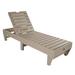 Rosecliff Heights Annette 78" Long Reclining Single Chaise Plastic in Brown | 37.4 H x 23.8 W x 76 D in | Outdoor Furniture | Wayfair