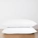 Ebern Designs Penelopea Pillow Protectors Jersey Waterproof Bed Pillows Zippered Encasement Covers Microfiber/Polyester | Standard | Wayfair