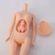 Poupées de corps pour femmes enceintes ensemble de jouets pour enfants beurre gros ventre