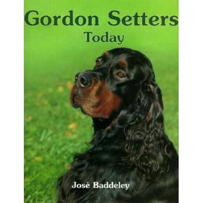Gordon Setters Today