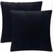 Hokku Designs Arinze Velvet Throw Square Pillow Cover & Insert Polyester/Polyfill/Velvet in Black | 18 H x 18 W x 2 D in | Wayfair
