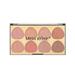8 Colors Blushs Palettes Mattes Blushs Powder Bright Face Blushs Profile and Highlight Blushs Palettes Professionally Facial Beauty Cosmetic Makeup Blushs