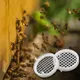 Cage ronde de confinement reine des abeilles 5 pièces en plastique blanc isolé équipement pour