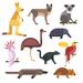 Zoomie Kids Australia Wild Animals by Adekvat - Wrapped Canvas Graphic Art Canvas | 12 H x 12 W x 1.25 D in | Wayfair