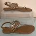 American Eagle Outfitters Shoes | American Eagle Sandals Brown With Gold Trim Size 9.5 | Color: Brown/Gold | Size: 9.5