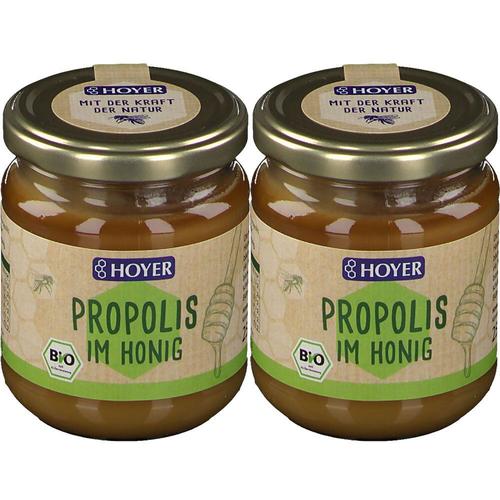 Hoyer Bio Propolis im Honig 2x250 g Gelee