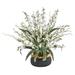 Nearly Natural 19in. Dancing Lady Artificial Arrangement in Vase