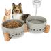 Ptlom Ceramic Pet Bowl Cat Dog Food and Water Bowl Set With Stand Gray 6.1inch