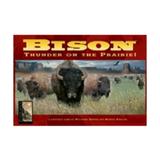 Bison - Thunder on the Prairie! New