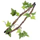Vigne grimpante pour reptiles avec feuilles décoration de plante de Terrarium avec ventouses