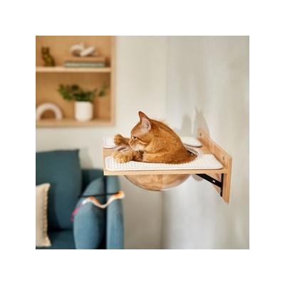 Frisco Acrylic Bowl Wall Mounted Cat Wall Shelf