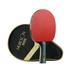 RANMEI Table Tennis Racket Double Face Pimples-in Sticky Rubber 4 Star Ping Pong Paddle