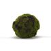 5-inch Green Crackled Moss Ball (Set of 3)