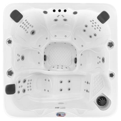 6-Person 100-Jet Premium Acrylic Lounger Spa Standard Hot Tub with Bluetooth Sound System and LED Waterfall