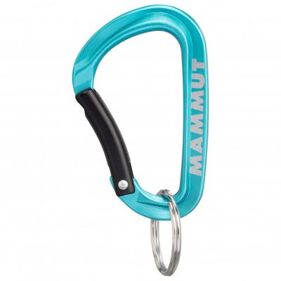 Mammut - Mammut Mini Carabiner Classic - Materialkarabiner Gr Small türkis Image