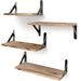 17 Stories Moutoullas 4 Piece Bracket Shelf Wood/Metal in Black | 4.3 H x 16.5 W x 6.1 D in | Wayfair 825B42F75ADF4960BA257EC023707D40