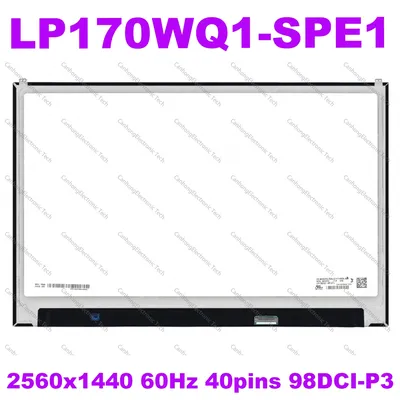 Écran LCD de remplacement 17 pouces LP170WQ1-SPE1 LP170WQ1-SPA1 pour LG Gram 17Z990 2560x1600