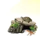 Marchepied pour aquariums terrariums lézard gecko reptile tortue se prélasser plate-forme de