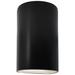 Ambiance 12 1/2"H Carbon Black Cylinder Closed ADA Sconce