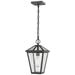 Talbot by Z-Lite Oil Rubbed Bronze 1 Light Outdoor Chain Ceiling Fixture