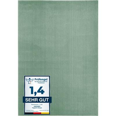 Teppich ANDIAMO "Arezzo", grün (salbeigrün), B:160cm H:16mm L:230cm, Polyester, Teppiche, Uni Farben, weicher Flor, waschbar, ideal im Wohnzimmer & Schlafzimmer Image