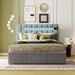 Ivy Bronx Brigdon Full/Double Storage Panel Bed Upholstered/Velvet in Gray | 45.1 H x 53.94 W x 76.4 D in | Wayfair