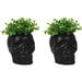 The Holiday Aisle® Pack Of 2 Matte Black Ceramic Day Of The Dead Ghastly Skull Planters Bowls Pots Figurine 5.5" L Skeleton Head Gardening Planter Bow Resin/Plastic | Wayfair