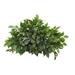 Nearly Natural 8939 20 in. Mixed Ficus & Fittonia Artificial Ledge Plant