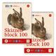 Staufen Dürer Skizzenblock Set, 2 Stück, DIN A4, je 100 Blatt - 100 g/m², ideal als Zeichenblock oder Malblock