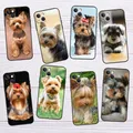 Coque de téléphone Yorkshire Terrier Dog pour iPhone coque arrière pare-chocs 12 15 14 11 13