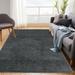 Assile Modern High-Pile Plush Shag Rug Solid Floor Cover Perfect for Living Rooms Bedroom Dark Grey 4 x 6