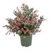HGTV Home Collection Pre Lit Artificial Christmas Shrub Planter Filler Mixed Branch Tips Decorated with Pinecones and Berries Battery Powered 28 Inches
