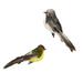 Set of 2 Simulation Artificial Foam Feathered Birds Clip On Figurine Ornament DIY Craft