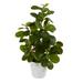 Nearly Natural 16 Peperomia Artificial Plant in Decorative Planter - 6