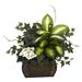 African Violet Dieffenbachia & Ivy w/Chest Silk Plant