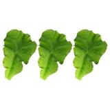 3pcs Simulation Green Lettuce Leaves Food Decoration Fake Vegetable Models