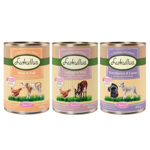 6 x 400g Junior Probierpaket Lukullus Hundefutter nass Probierpakete