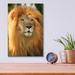 Latitude Run® Lion by Mike Jones - Unframed Print Plastic/Acrylic | 16 H x 12 W x 0.13 D in | Wayfair C57D04D1698E4F138A6D3F4D96007066