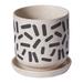 AllModern Catarine Ceramic Pot Planter Ceramic in Black | 5.5 H x 5.75 W x 5.75 D in | Wayfair F9111F54FAA14A7C9F5072C3093C6D63