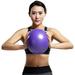 Heldig Mini Yoga Pilates Ball 9 Inch for Stability Exercise Training Gym Anti Burst and Slip Resistant Balls with Inflatable Straw