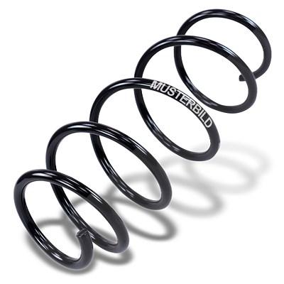 Nk Fahrwerksfeder [Hersteller-Nr. 534762] für Audi, VW Image