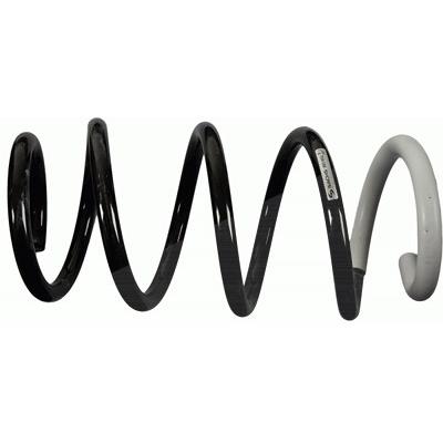 Sachs Fahrwerksfeder [Hersteller-Nr. 993602] für Renault Image