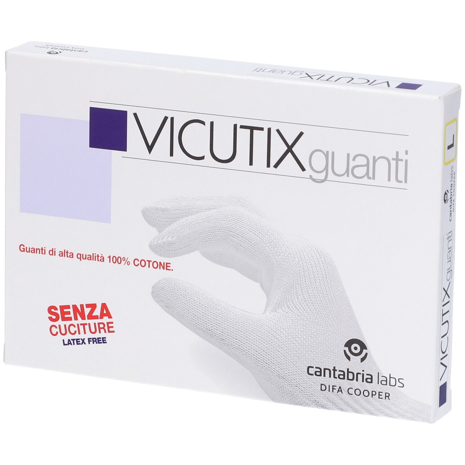 Vicutix Guanti Large 1 pz
